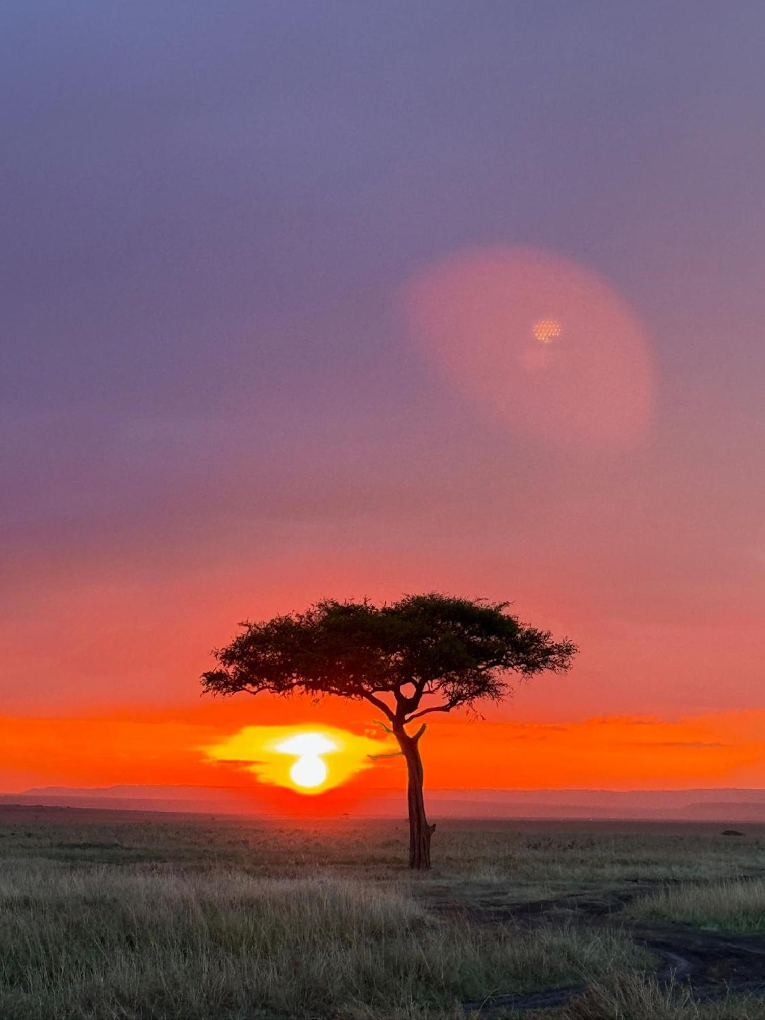 Olkinyei Mara Tented Camp Talek エクステリア 写真