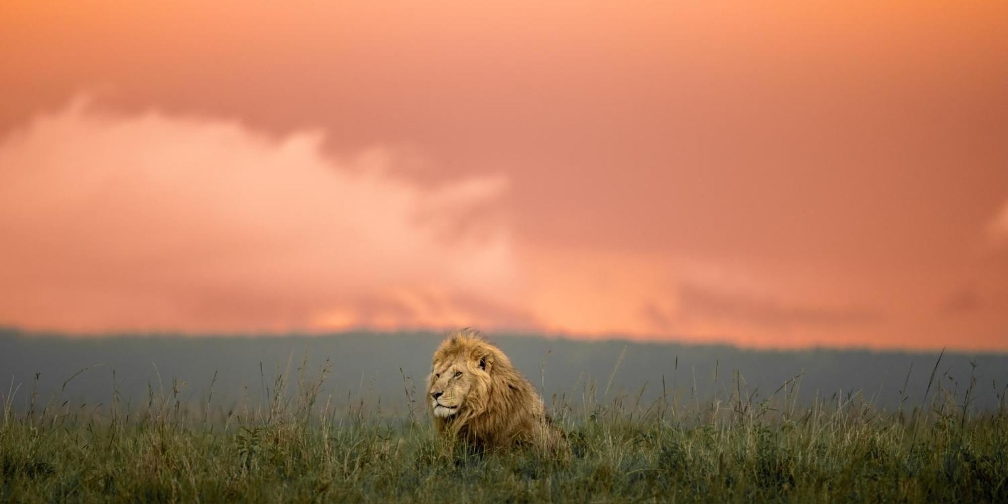 Olkinyei Mara Tented Camp Talek エクステリア 写真