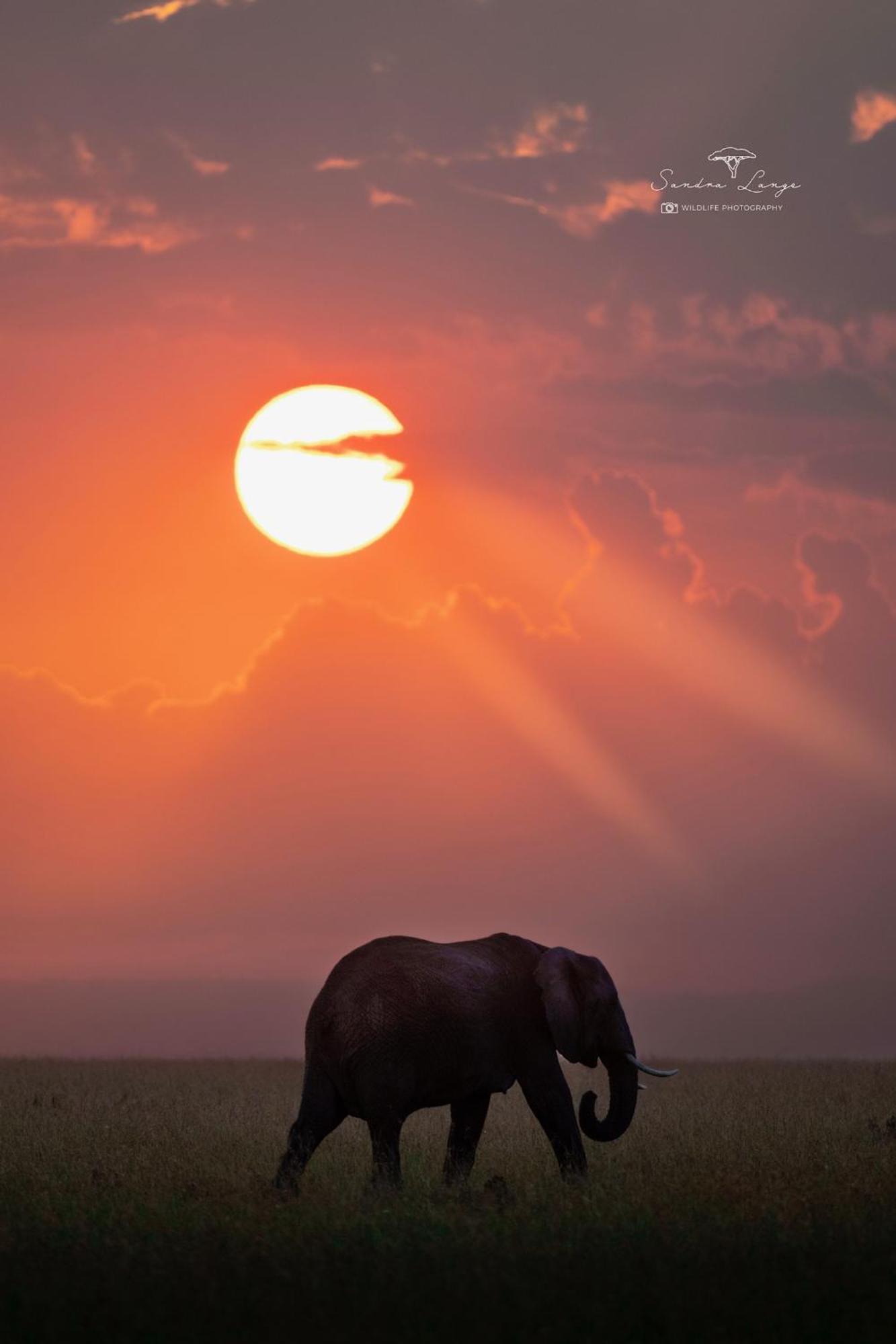 Olkinyei Mara Tented Camp Talek エクステリア 写真