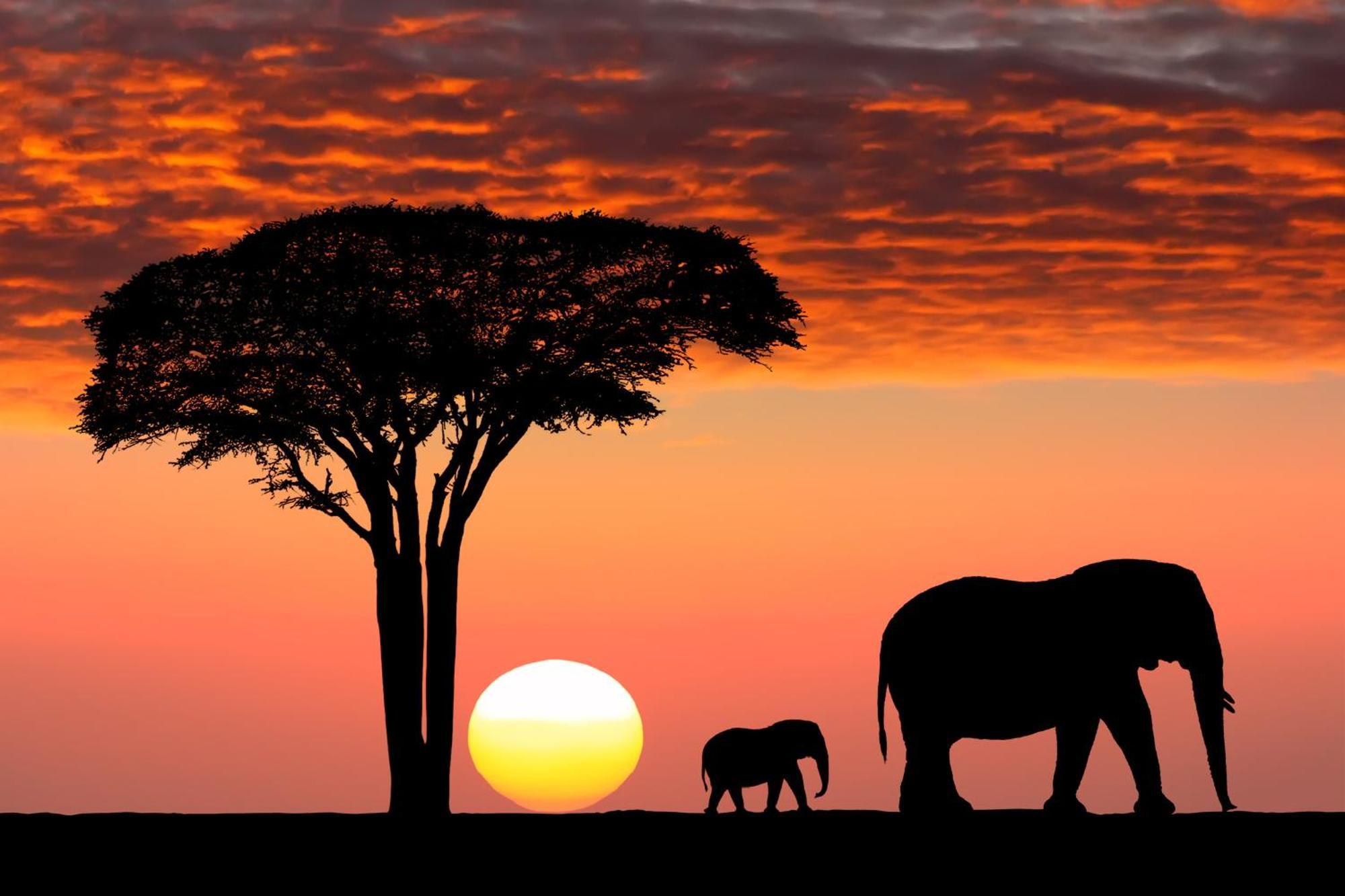 Olkinyei Mara Tented Camp Talek エクステリア 写真