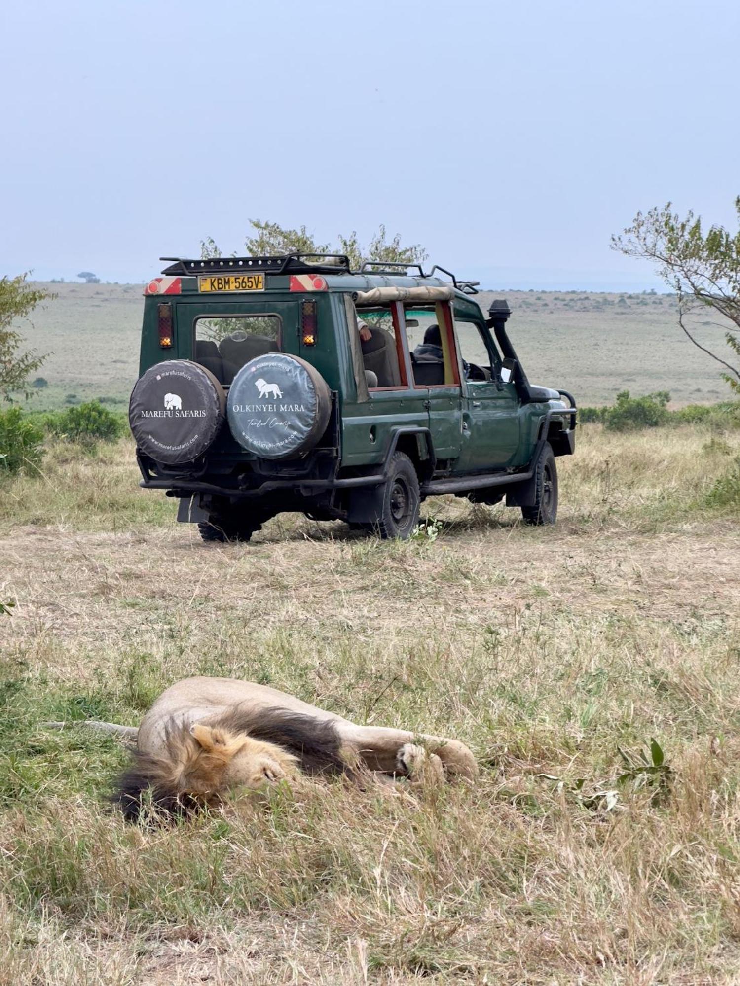 Olkinyei Mara Tented Camp Talek エクステリア 写真
